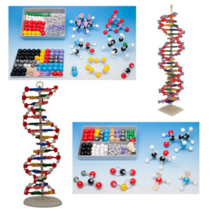 Modelos moleculares y ADN